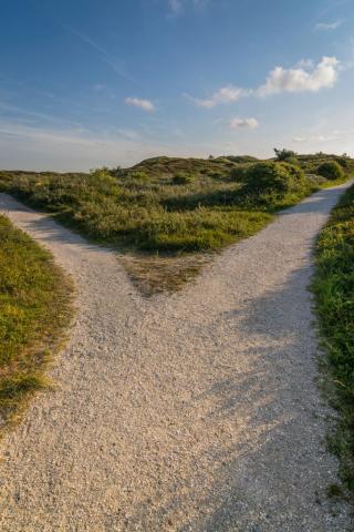Ein Weg teilt sich